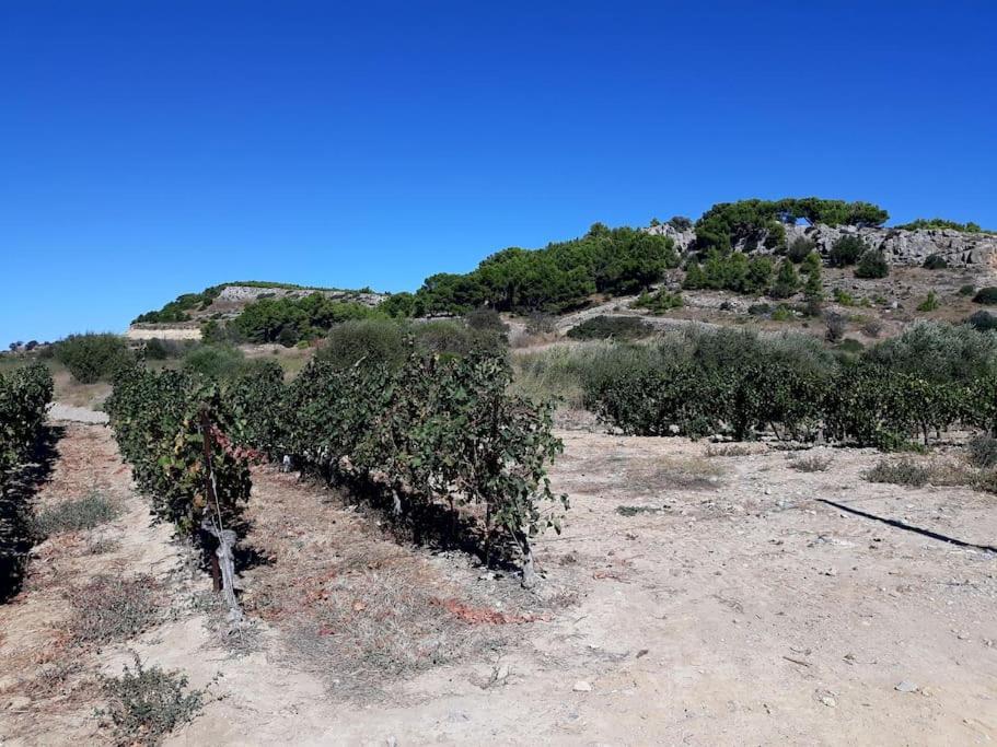Location Appartement à Gruissan Méditérranée Esterno foto
