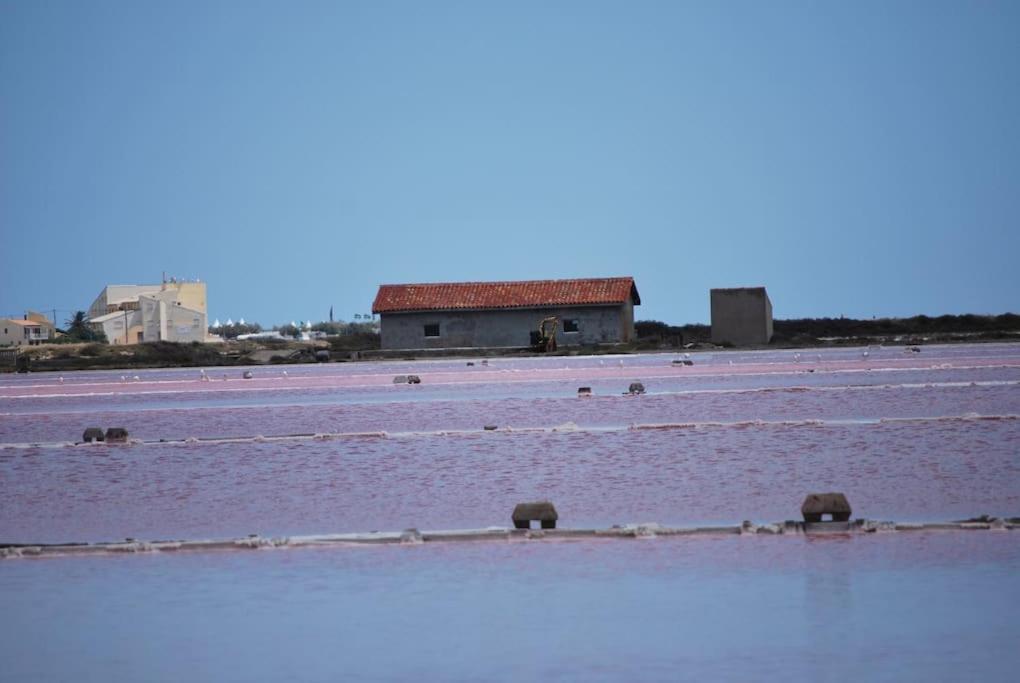 Location Appartement à Gruissan Méditérranée Esterno foto