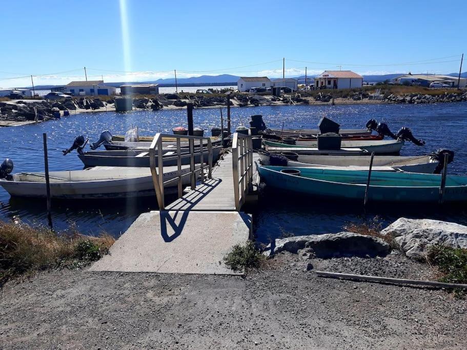 Location Appartement à Gruissan Méditérranée Esterno foto