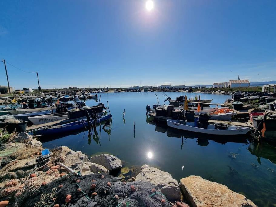 Location Appartement à Gruissan Méditérranée Esterno foto